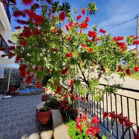 Apollon Appartement *