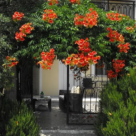 Apollon