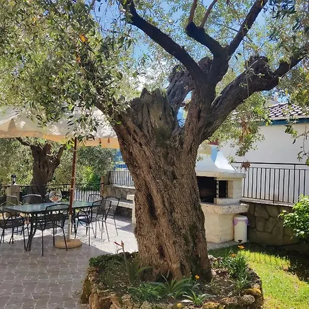 Apollon * クリッシ・アモウディア