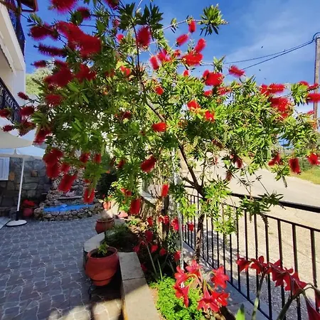 Studios Apollon Apartment *