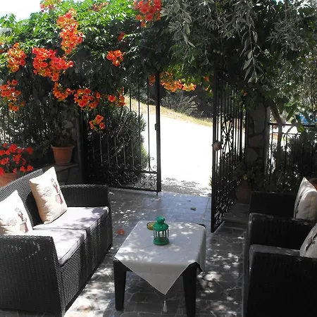 Studios Apollon Apartment Chrysi Ammoudia
