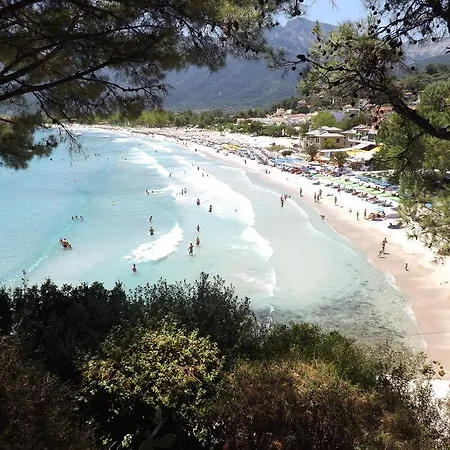 Studios Apollon