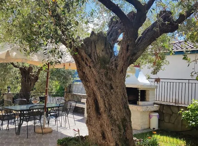 Apollon * כריסי אמודיה